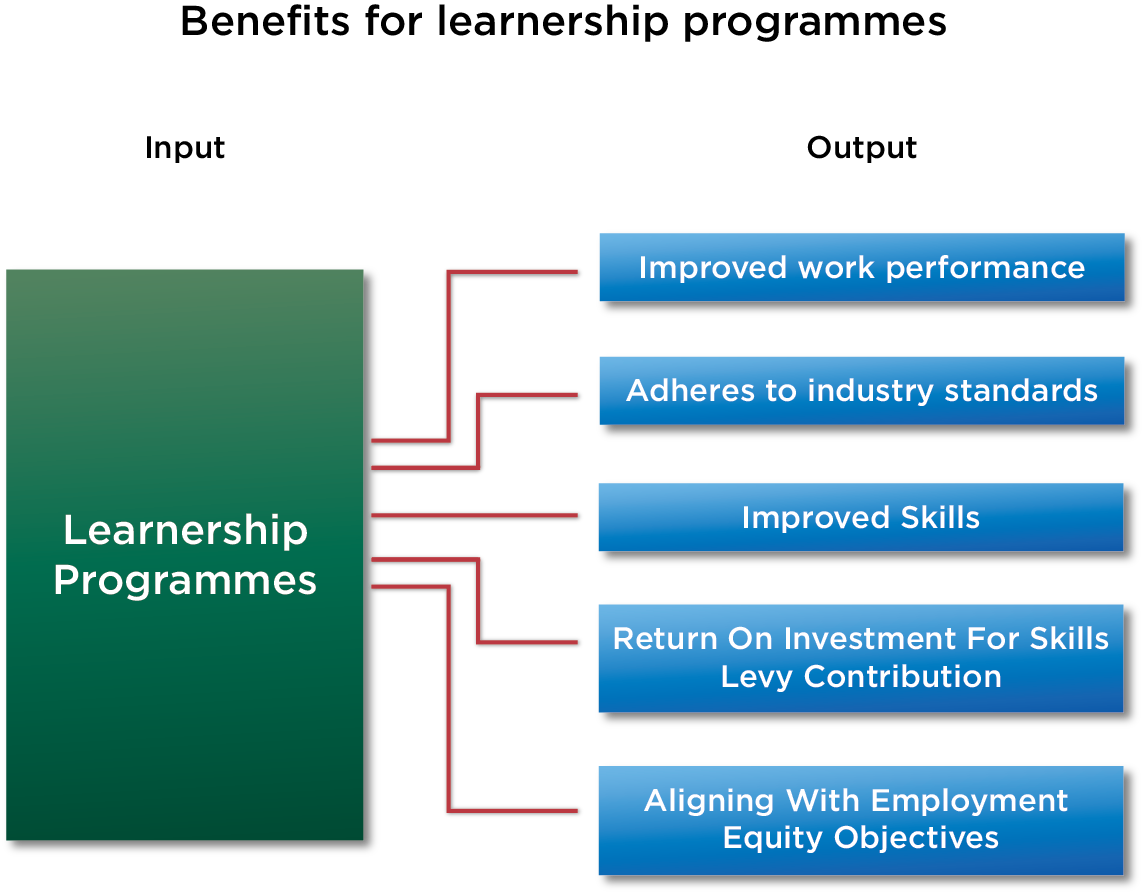 Why Do You, As An Employer, Need To Invest In Learnership Programmes ...